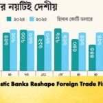Domestic Banks Reshape Foreign Trade Finance